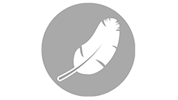 Più leggeri delle guide con cuscinetti a ricircolo di sfere