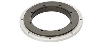 Mould-resistant iglidur materials