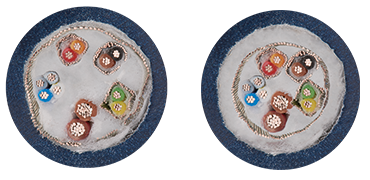 Movimento torsionale CF