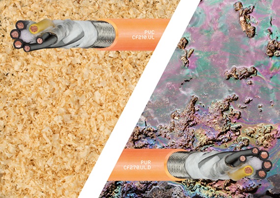 Seminario online su CF