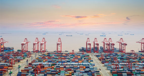 Container terminal e navi portacontainer